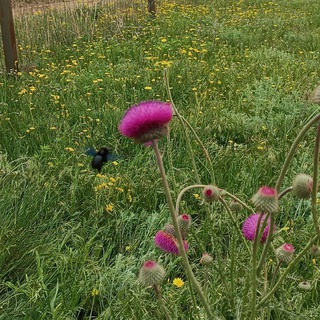 КРЫМ_земельные участки