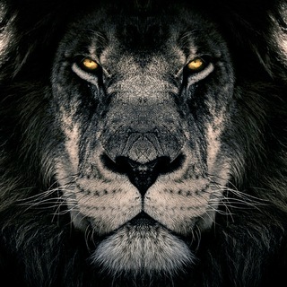 🔥DePIN - Testnet & Airdrop🔥