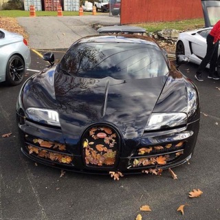 Жирный канал