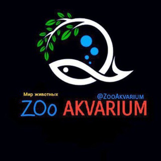 ZOO AKVARIUM 🐳