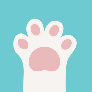 ЛАПКИ | ФЕОДОСИЯ - Всё о питомцах 🐈🐕🐇🦜