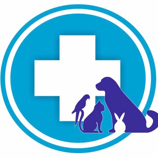 ZooMarkt ветклиника Катуар