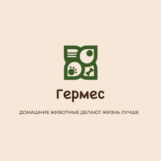 КОРМА для кошек и собак ZooRing l Melwin Тюмень
