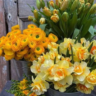 ⚜ Книги. Саморазвитие ⚜