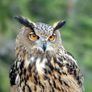 Большой список новостей