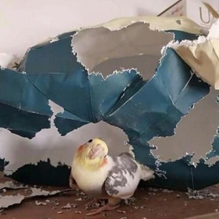 Anesthesia Александровна