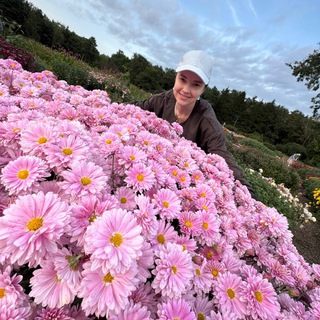 AaeEll - Triangular Circle