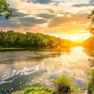 Бизнес ФРЭНЦ.