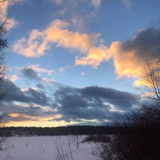 Архангельский