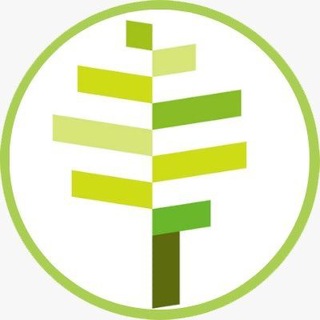 Языковой центр ABC school |ЕГЭ и ОГЭ