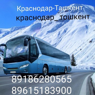 Автобус. Toshkent Krasnodar Краснодар Тошкент