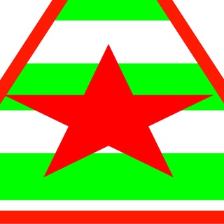 Абхазия головного мозга