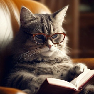 КОТОлог "Все о кошках"😺