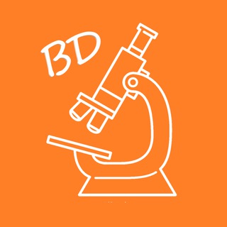 О ветеринарной дерматологии простыми словами