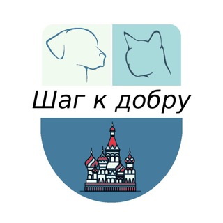 Шаг к добру - хвостики ищут дом!