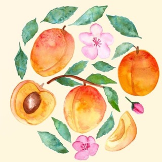 АБРИКОСИКИ🍑