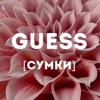 Сумки GUESS