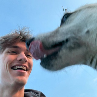 абсурд виктора