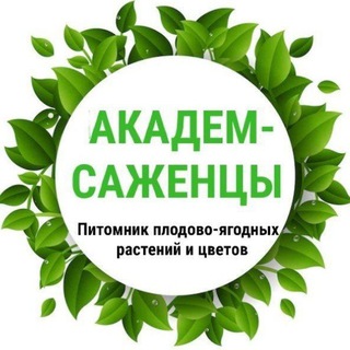 Академ-Саженцы