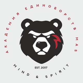 Академия Единоборств MaS