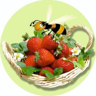 Академ-Ягода