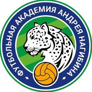 Академия Андрея Нагибина