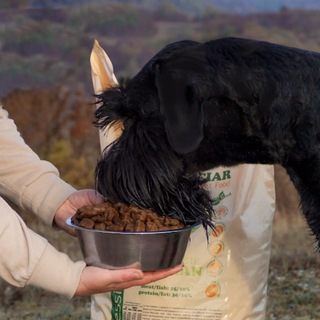 Акари Киар Юг