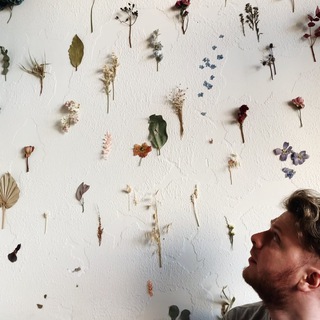 Житуха и сухоцветы