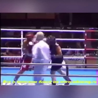 Мария Рейнгардт | Адаптивный Бокс