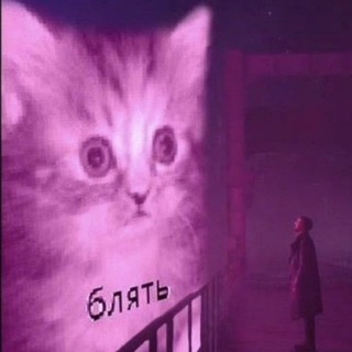 Еблан расправил плечи