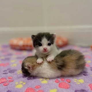 ПЕРЕЕЗД aeksi