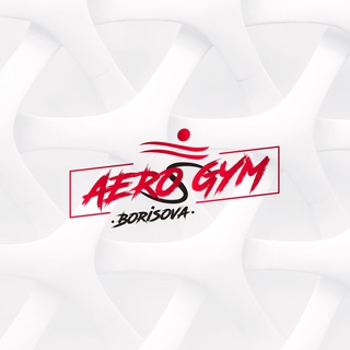 Aero Gym Borisova