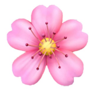 Эстетичные картинки