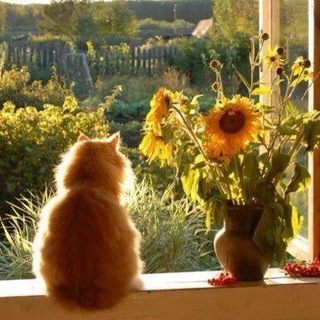 Любители природы 🍃