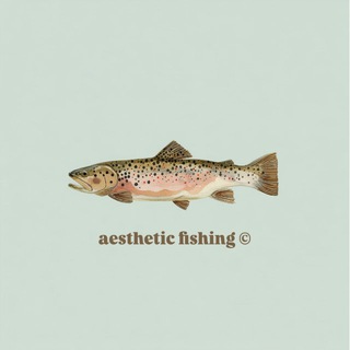 Эстетичная рыбалка | Aesthetic fishing 🎣