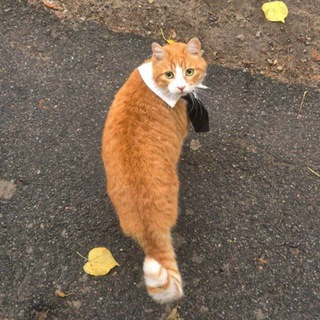 Эстетик Педиатрички ✨