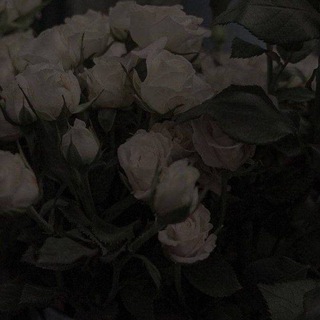 Искусство быть собой🥰🌷