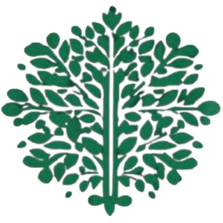 Жизнь после инсульта