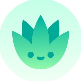 Agave - 1hive