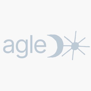 ГлавРеды Agle