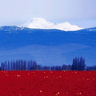 🩵=☀️ СЕРДЕЧНЫЕ БЕСЕДЫ ПО АГНИ-ЙОГЕ / ЖИВОЙ ЭТИКЕ
