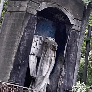 нытик с гитарой