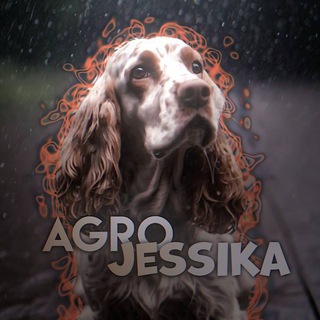 ᯓ𝗔𝗴𝗿𝗼 𝗝𝗲𝘀𝘀𝗶𝗸𝗮ᯓ