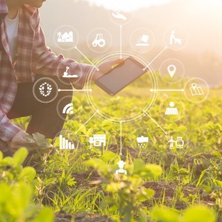 Агро Старт: Инновации в Поле