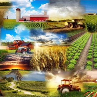 🌾🍉🍓БлогФермера🍓🍉🌾