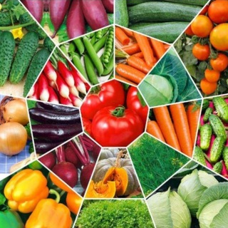 ОВОЩИ ОПТОМ Картофель Лук Морковь Капуста Свекла