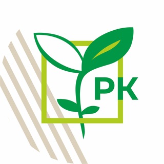 Рассада овощных культур |Агросоюз Романовский