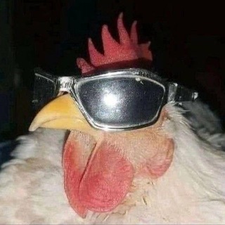 даша ахматова