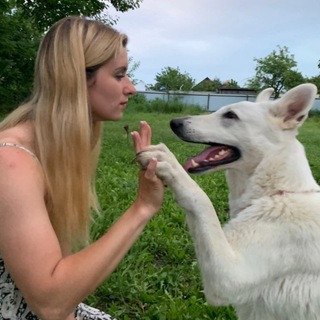 💉Заметки ветеринарного врача 💩