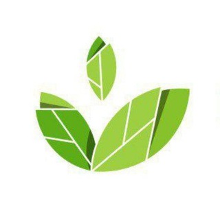 Aidex X APP | GlucoTech